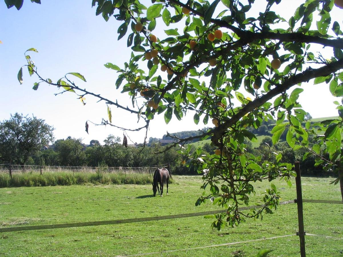 4 Collines Bed and Breakfast Hagnicourt Εξωτερικό φωτογραφία